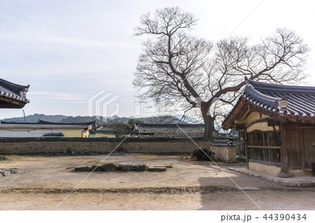 rich choi family of gyeongju rich choi family of gyeongju 44390434