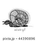 Vector Illustration of snail in doodling style 44390896