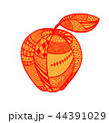 Vector illustration of apple in zentangle style 44391029