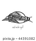 snail vector illustration 44391082