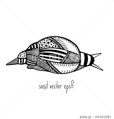 snail vector illustration 44391082