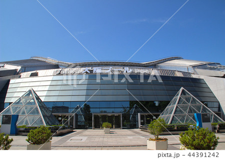 大阪プール/大阪府大阪市港区田中 大阪プール/大阪府大阪市港区田中 44391242
