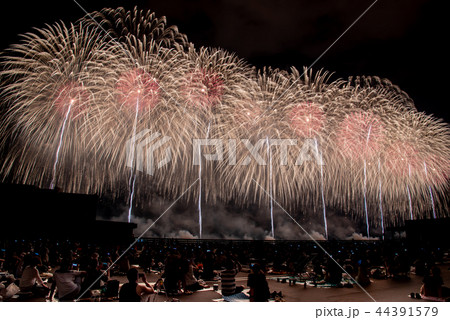 新潟県　長岡まつり大花火大会　フェニックス花火 44391579