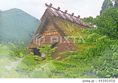 美山町 茅葺 美山町 茅葺 44391958