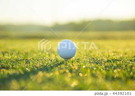 Close up of golf ball on tee Close up of golf ball on tee 44392101