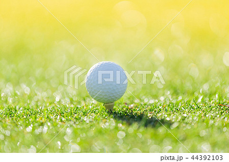 Close up of golf ball on tee Close up of golf ball on tee 44392103