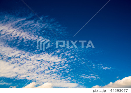 秋の青空 44393077