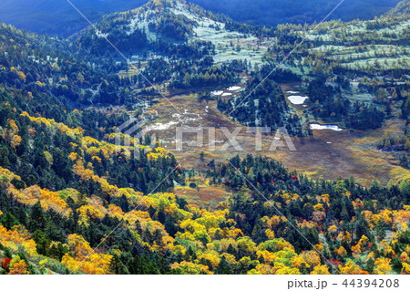 芳ヶ平湿原の秋 芳ヶ平湿原の秋 44394208