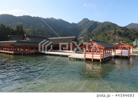 宮島 厳島神社 44394683
