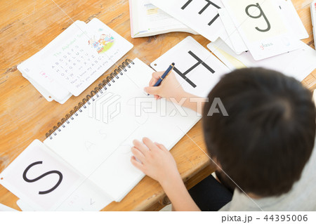 勉強 勉強 44395006