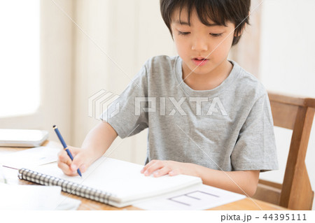 勉強 勉強 44395111