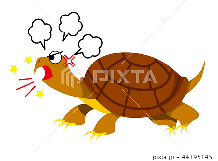 カミツキガメのイラスト 44395145