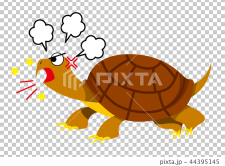 カミツキガメのイラスト 44395145