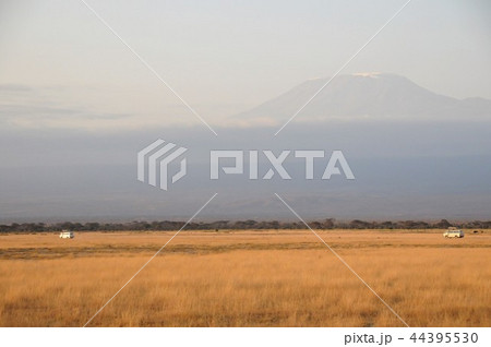 アンボセリ国立公園 キリマンジャロ アンボセリ国立公園 キリマンジャロ 44395530