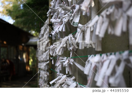 おみくじの風景 44395550