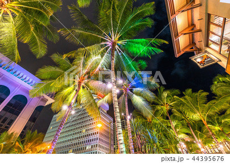 《ハワイ》ワイキキ・メインストリートの夜 《ハワイ》ワイキキ・メインストリートの夜 44395676
