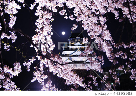大阪城の桜 月 44395982