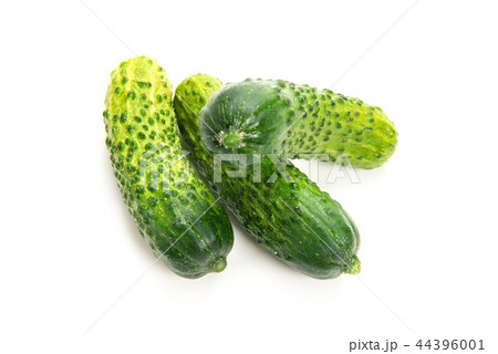 ガーキンきゅうり ガーキンきゅうり 44396001