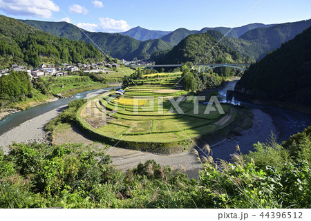 あらぎ島（和歌山県有田郡有田川町） 44396512