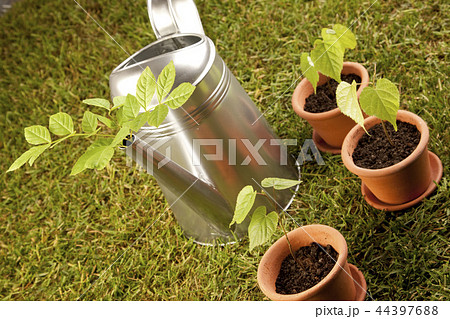 Gardening concept 44397688