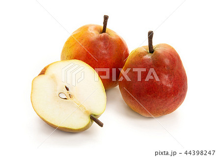 西洋梨カリフォルニア 西洋梨カリフォルニア 44398247