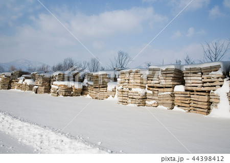 セミウォン ヤンスリ 目 44398412