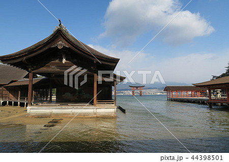 宮島 厳島神社 宮島 厳島神社 44398501