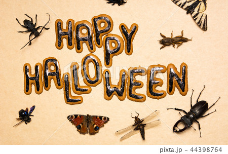 Halloween day spooky background with insects Halloween day spooky background with insects 44398764