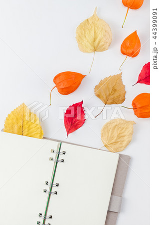 Notebook with flying dried flowers and leaves 44399091