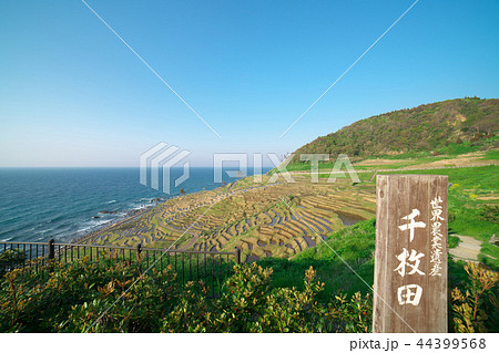 石川県 能登半島 白米千枚田 石川県 能登半島 白米千枚田 44399568