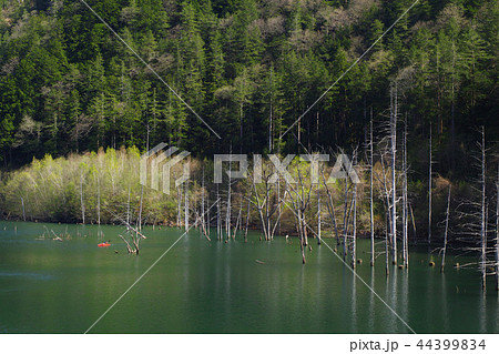 長野県 王滝村 自然湖 長野県 王滝村 自然湖 44399834
