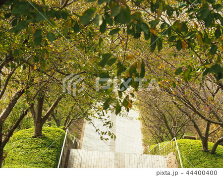 あんずの里　Anzu no sato 44400400