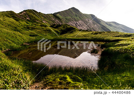 別山の夏 44400486