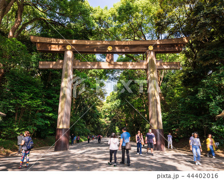 東京　明治神宮 44402016