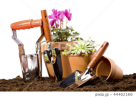 Gardening concept. 44402160
