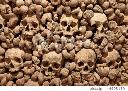 Skulls and bones in a wall 44403159