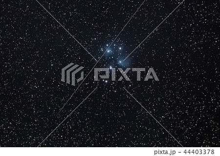 プレアデス星団 44403378