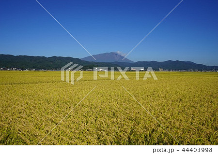 秋の岩手山 44403998