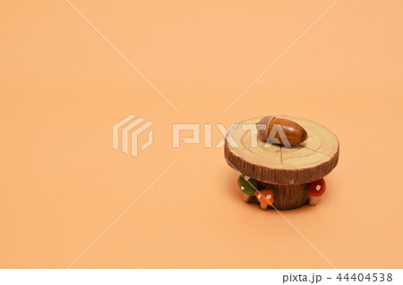 どんぐりとテーブルときのこ 44404538