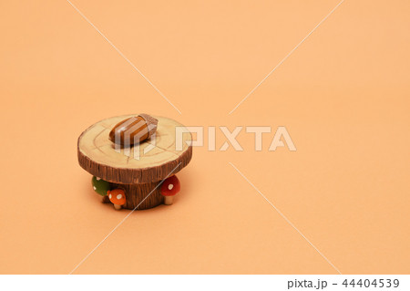 どんぐりとテーブルときのこ 44404539