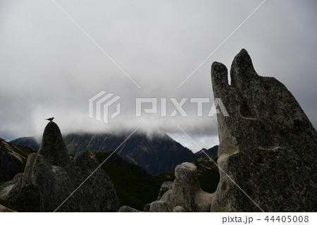 燕岳 燕岳 44405008