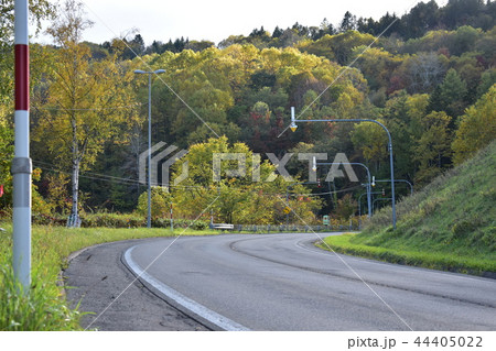 初秋と道 44405022