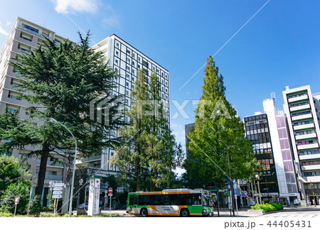 駅前風景 阿佐ヶ谷駅 駅前風景 阿佐ヶ谷駅 44405431