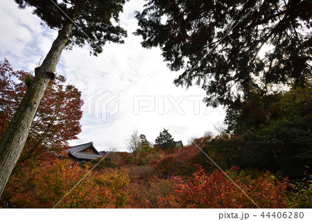 東福寺　通天橋 44406280