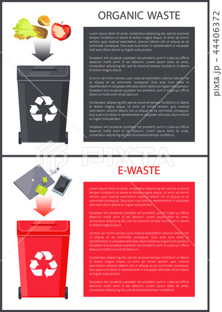 Organic Waste and E-Waste Set Vector Illustration 44406372