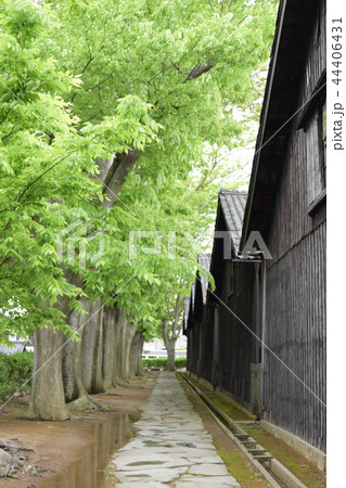 山居倉庫 山居倉庫 44406431