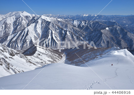 雪山 谷川岳西黒尾根上部から見るマチガ沢、白毛門山、上越国境稜線方面 雪山 谷川岳西黒尾根上部から見るマチガ沢、白毛門山、上越国境稜線方面 44406916