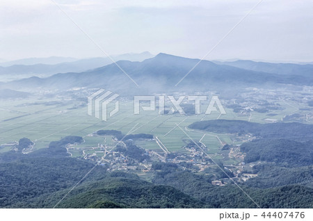 江華郡 木 ノン 44407476