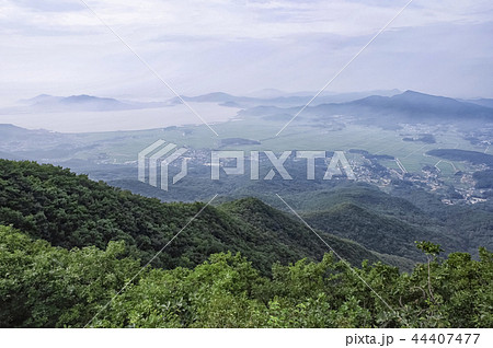 江華郡 木 ノン 44407477