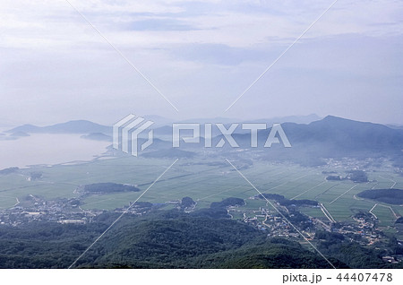 江華郡 木 ノン 44407478